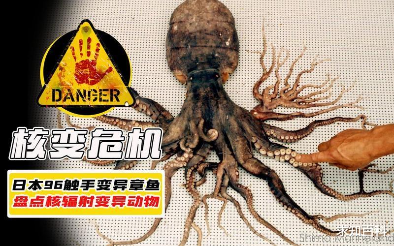 双头生物是否能二心一用?人类可以交流协作,动物则容易互相伤害
