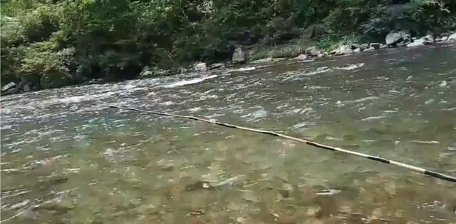 大爷|湖南七旬大爷站在河中垂钓,自制全部钓鱼工具,网友:骨灰级钓友