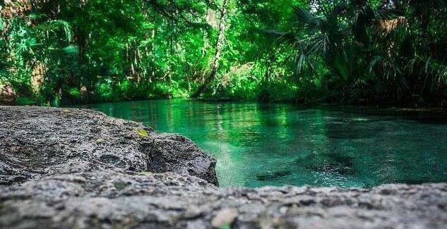 心脏|学会这几种方法，快速清除你身上的负能量！