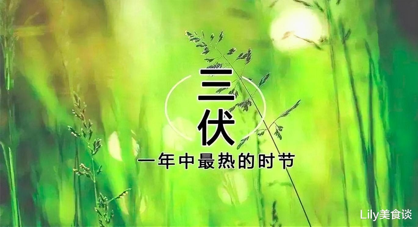 行医|三伏天快到了,分享3道夏季美食,好做又好吃,学会了做给即爱人吃