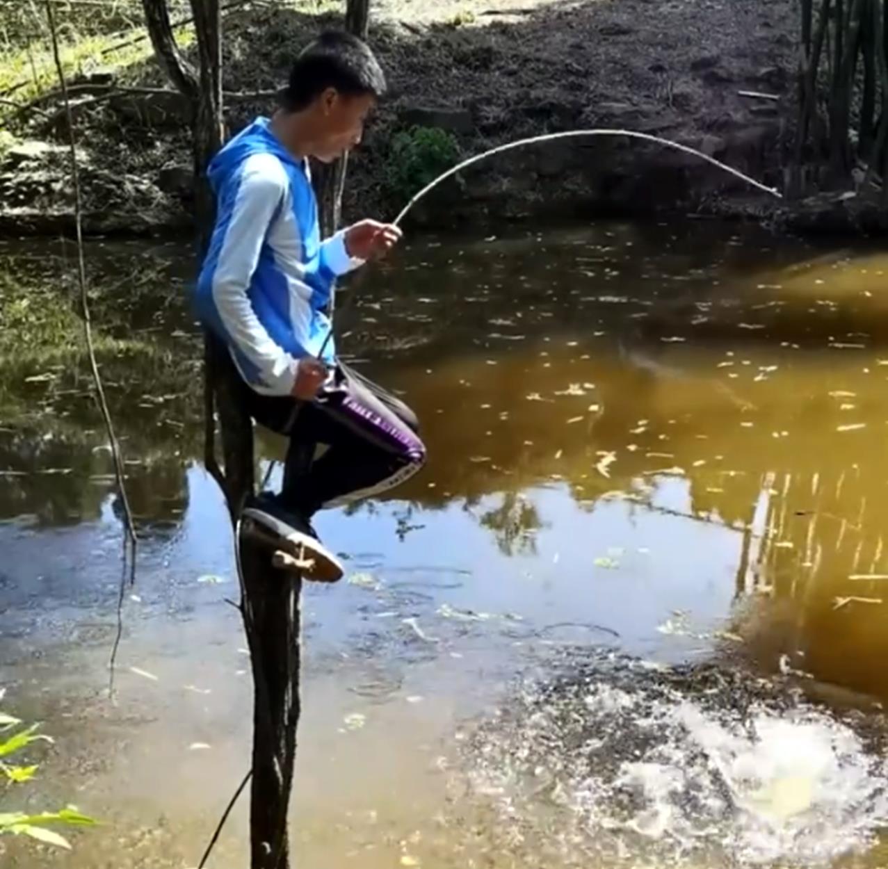 比邓刚还厉害的钓鱼,男子直接爬到水中的树上,结局出乎大家意料