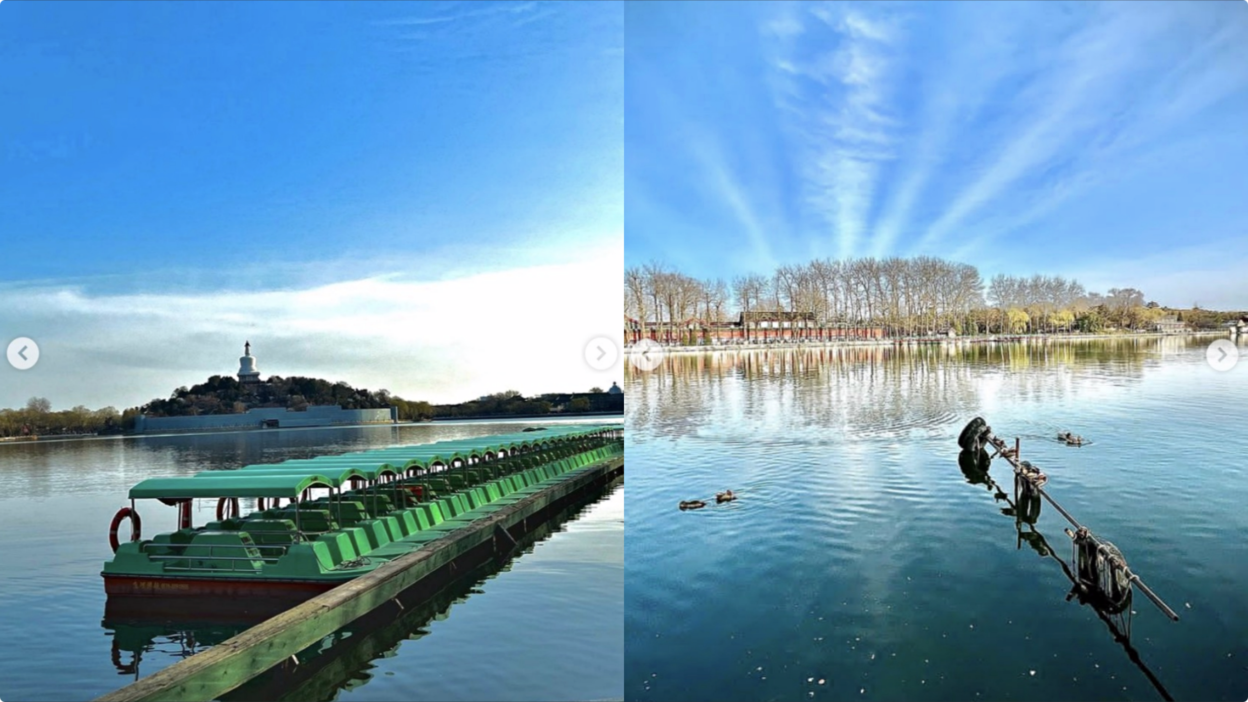 郭碧婷|向佐晒夫妻合影,两人站在樱花树下同框,郭碧婷神色疲惫且憔悴