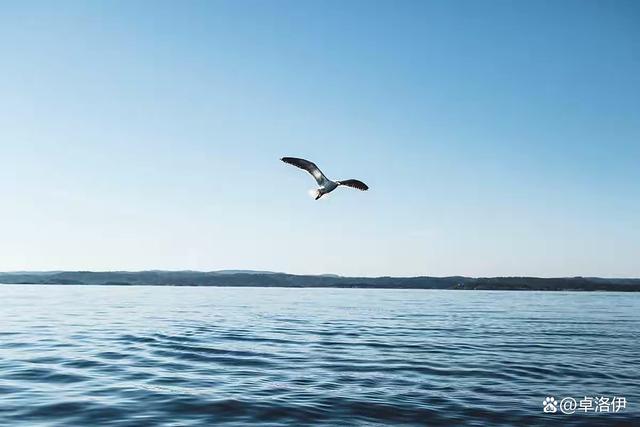 |能在这三件事上，保持安静的女人，都不简单