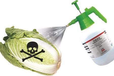 喷洒过甲醛的白菜,一般会有这三个特征,提醒大家:别买错