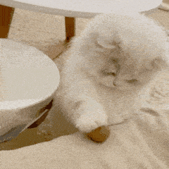 韩素希|被性侵囚禁被当做人肉花瓶?女星晒画向外界求救,黑手直指三星太子爷李在镕!