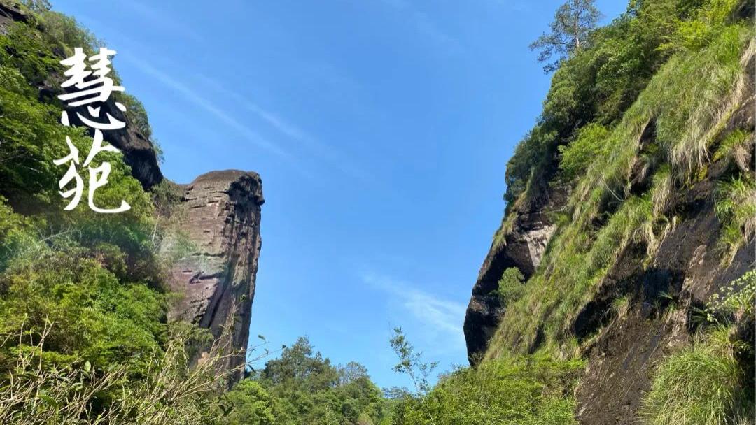 武夷山|章堂涧、古崖居、鹰嘴岩，现场实拍图还原，3分钟带你认识慧苑坑