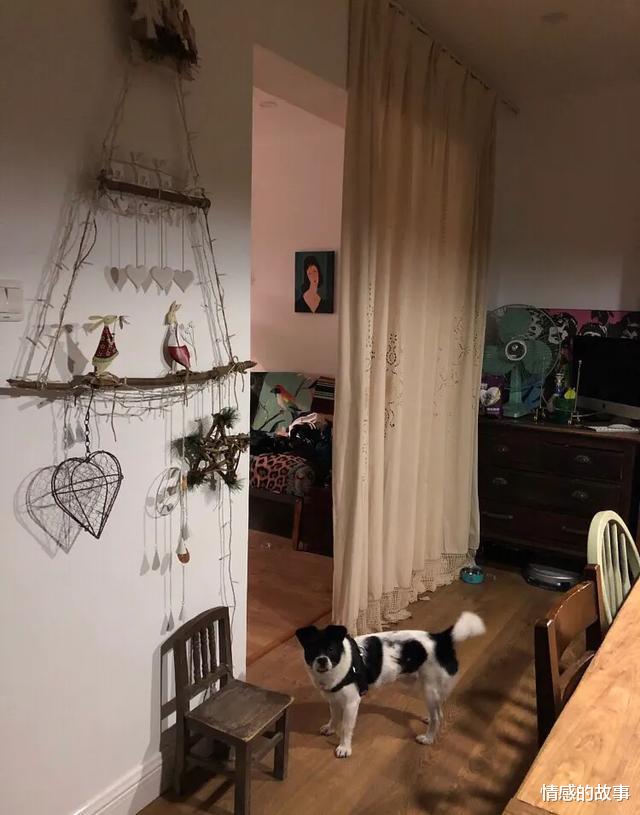 上海发现一位屋主的家,摆满二手旧家具,以绿植为伴,好美好治愈