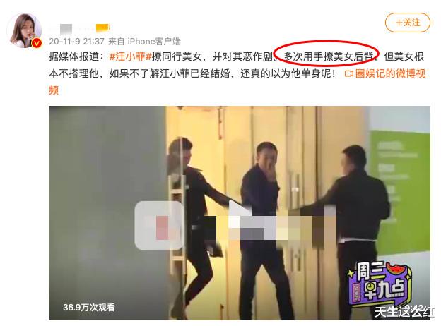 张国荣|无法成为大S的张颖颖:只有嘴硬,没有行动,注定驾驭不了汪小菲