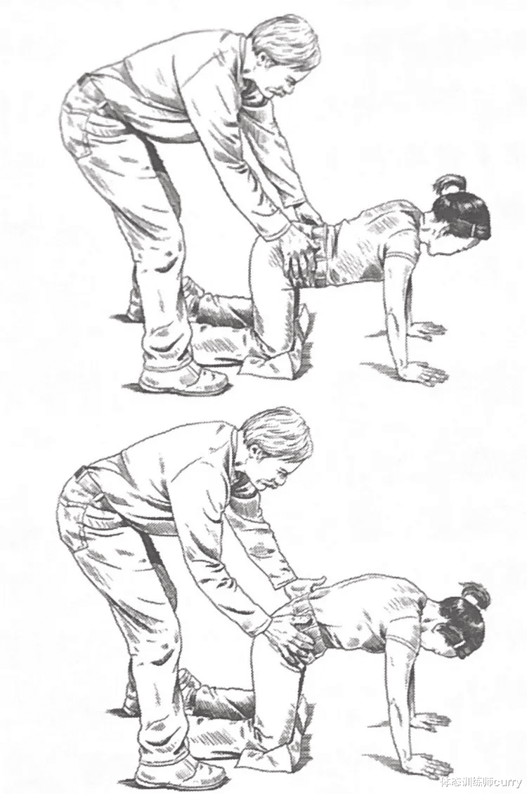 运动|润滑脊椎关节的重要动作