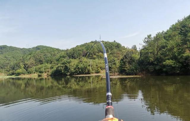 |钓5米还是10米,夏钓潭中的“潭”到底是多深?一篇文章讲清楚