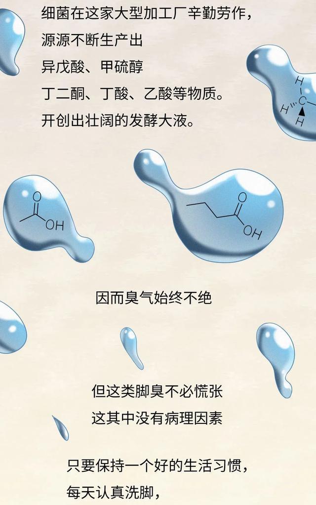 |为什么你的脚会那么臭？这是一个有味道的（漫画）