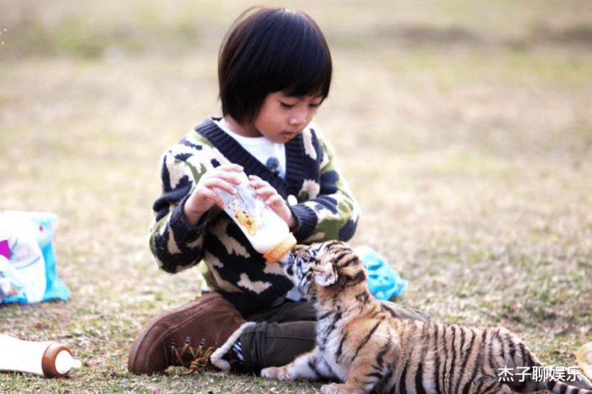 综艺节目|毁三观、造假、误导青少年，这四档综艺被禁播一点都不冤