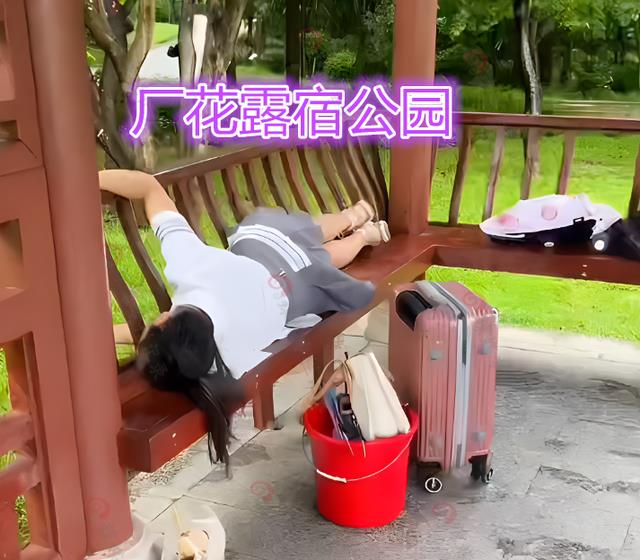 职业教育|女子提桶找工作，要求日薪400，没工作露宿公园，网友：眼高手低