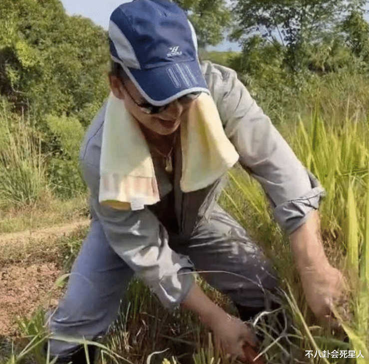 明星|金窝都不如自己老窝！5位明星乡下养老，务农、摆摊还有人建别墅