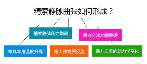 降压药|精索静脉曲张的危害