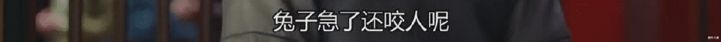 鹤唳华亭|又是一个带血的瓜