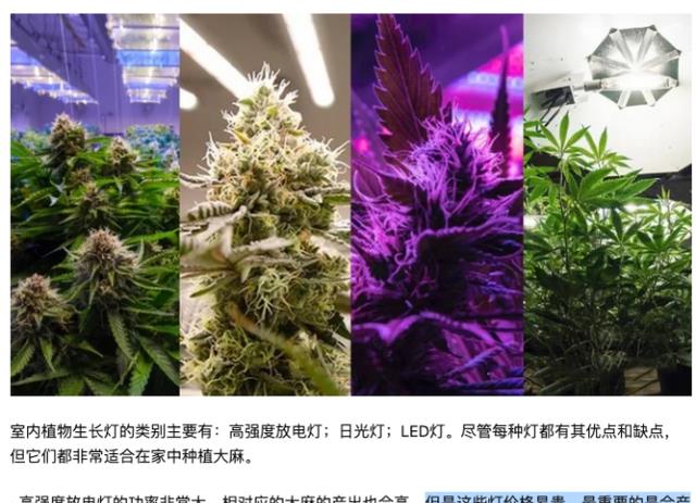大S|大S家电费用那么厉害,在忙什么?