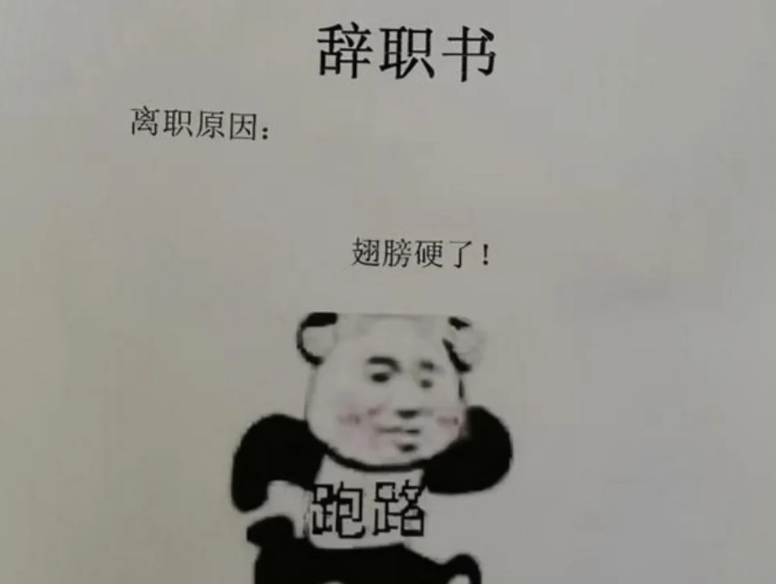电子竞技|“敢凶我，我就辞职”，00后辞职信走红，网友调侃一点面子都不给