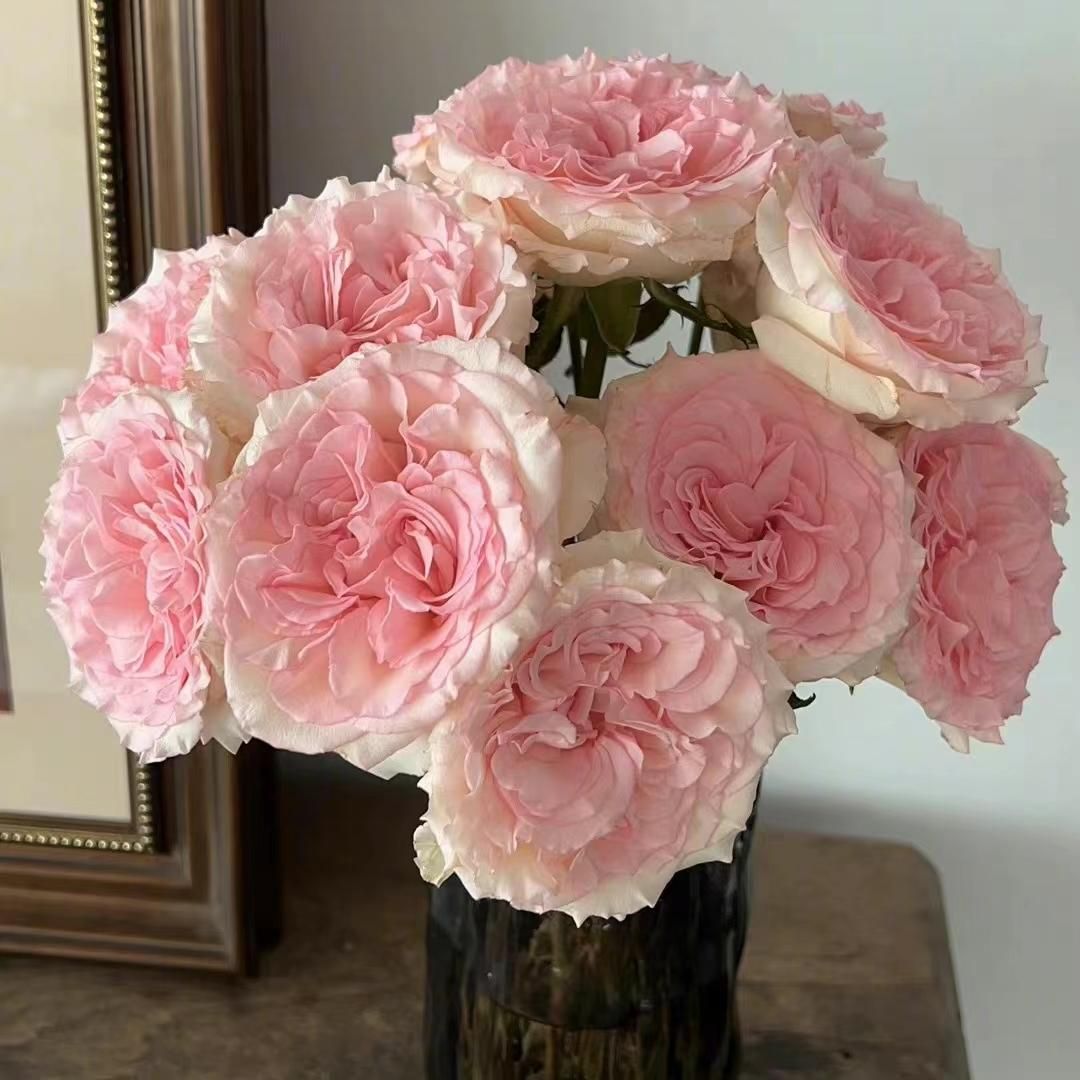 朱丹|41岁朱丹晒日常生活火了:在家遛娃做饭,日子过得悠闲自在,羡慕