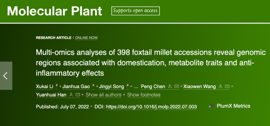 Mol Plant(IF=21.949)|重测序、转录组、代谢组多组学联合分析揭示谷子驯化选择中代谢物定向变化的遗传机制