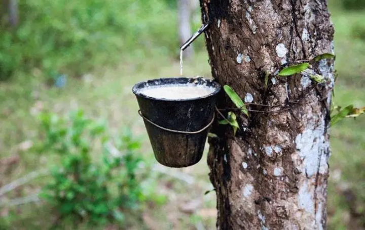 乳胶床垫怎么样?为什么这么贵