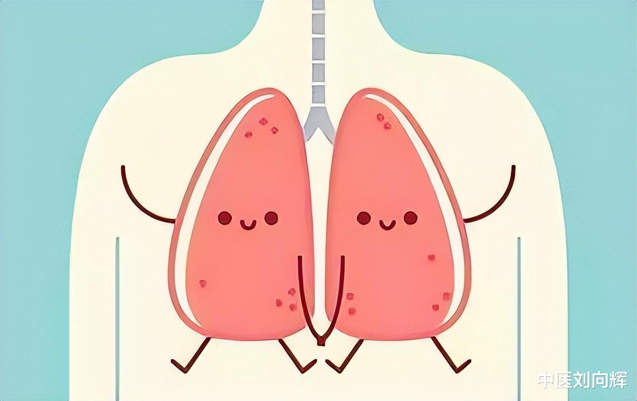 中成药|脾气虚乏力，心气虚胸闷，肾气虚多尿…5个中成药，帮你补气理气