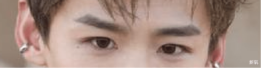 赵本山 眉眼走势是怎么影响颜值的?