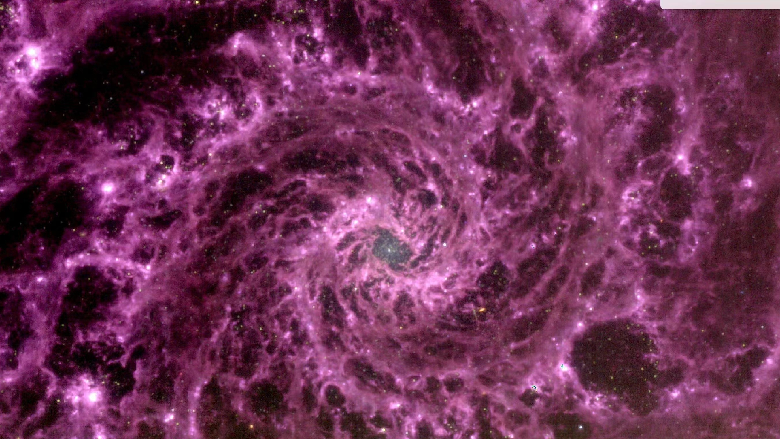 发现“虫洞”了？韦伯望远镜又出M74星系图片，看起来像星际之门