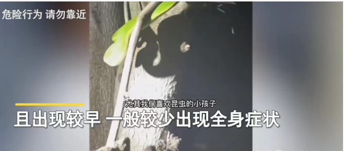广东深圳。一男子到沙河公园游玩,由于天色渐晚,男子不经意间看到一棵树上好像有什么东西在反光