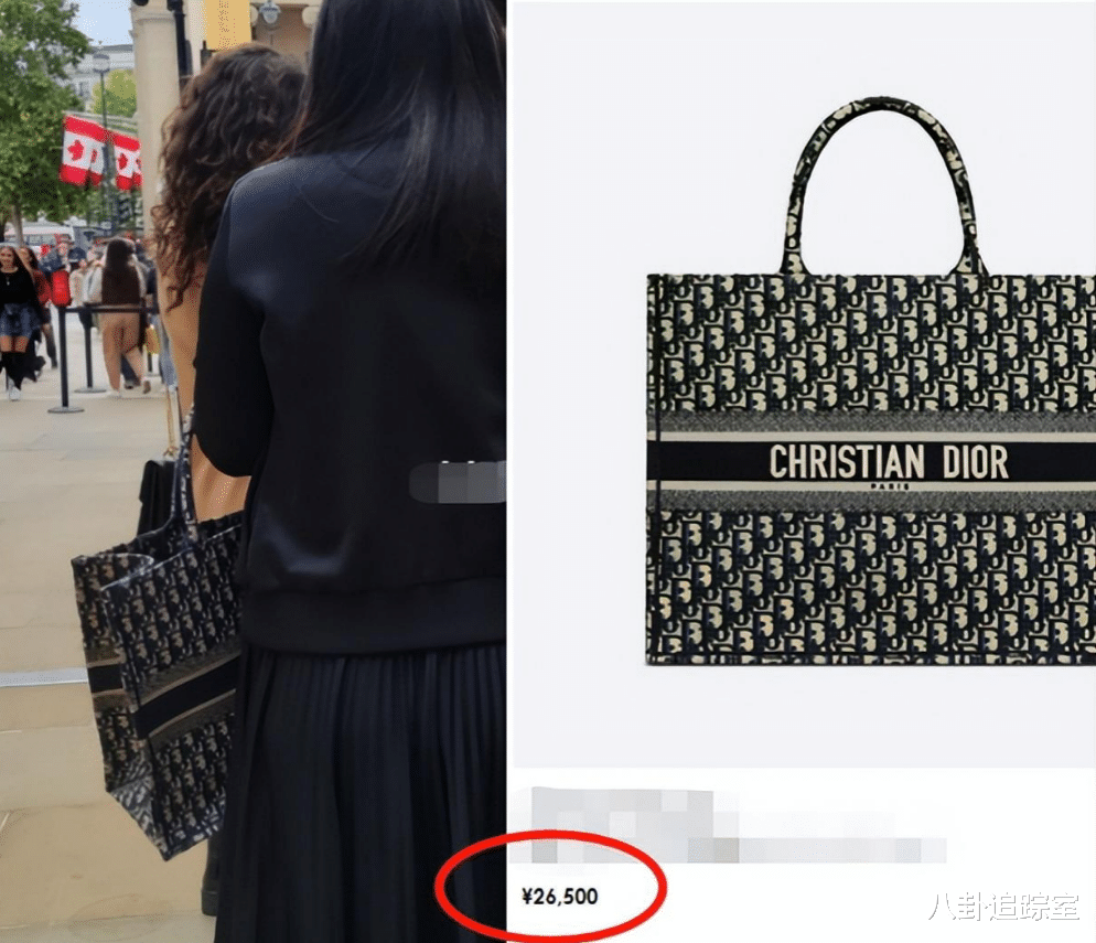 李湘|李湘母女逛英国美术馆,背亲子过万奢侈包,多次违反校规或已移民