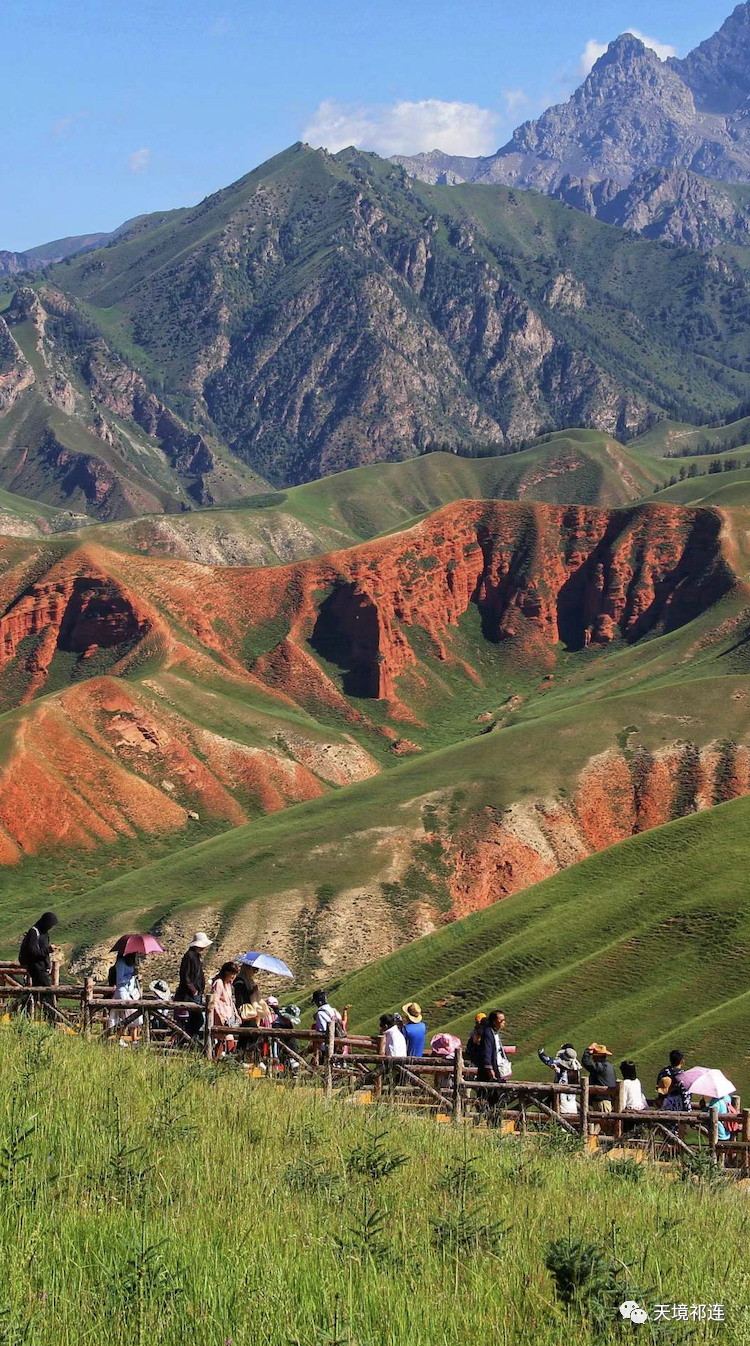 新疆维吾尔自治区|夏天的祁连,颠覆你对青海的认知!