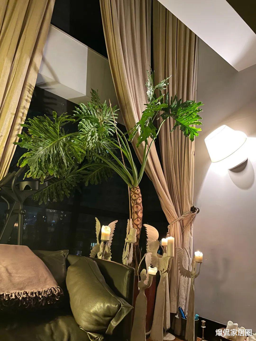 殷桃|看完43岁殷桃在北京的亿元别墅：人越成功，就越平淡！这才叫境界