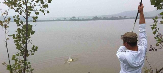 钓鱼|钓鱼界的天花板！男子直接扛来38米的大炮，姿势没有四五年学不会