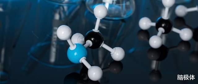 Drug X跨越鸿沟:一个生物科学家的新药研发跋涉记