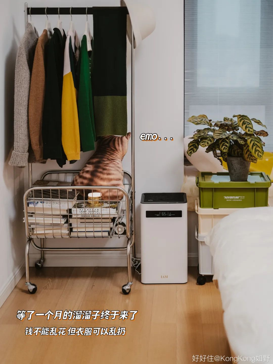 美翻!小卧室舒适翻倍,靠这份逆袭清单