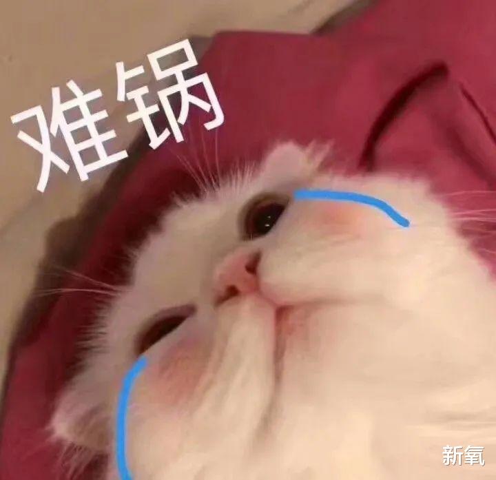 小姐姐 睡得不规律，胶原蛋白难合成，凯特贝金赛尔的美容觉怎么睡？