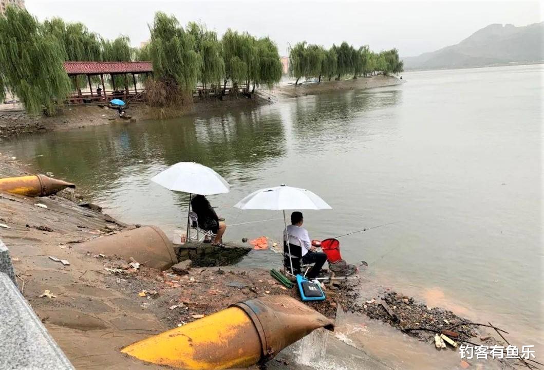 饵料|钓鱼浮漂一直没信号,不是水里没鱼,而是有些细节没做好