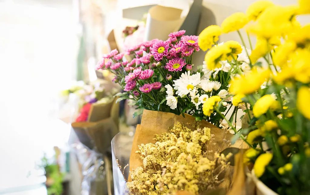 学习插花丨小白都会的鲜花插花色彩配置原则!