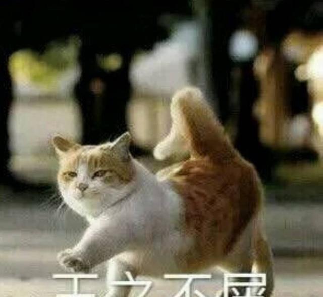 洗衣机|联想Thinkbook14+酷睿版，使用体验如何？