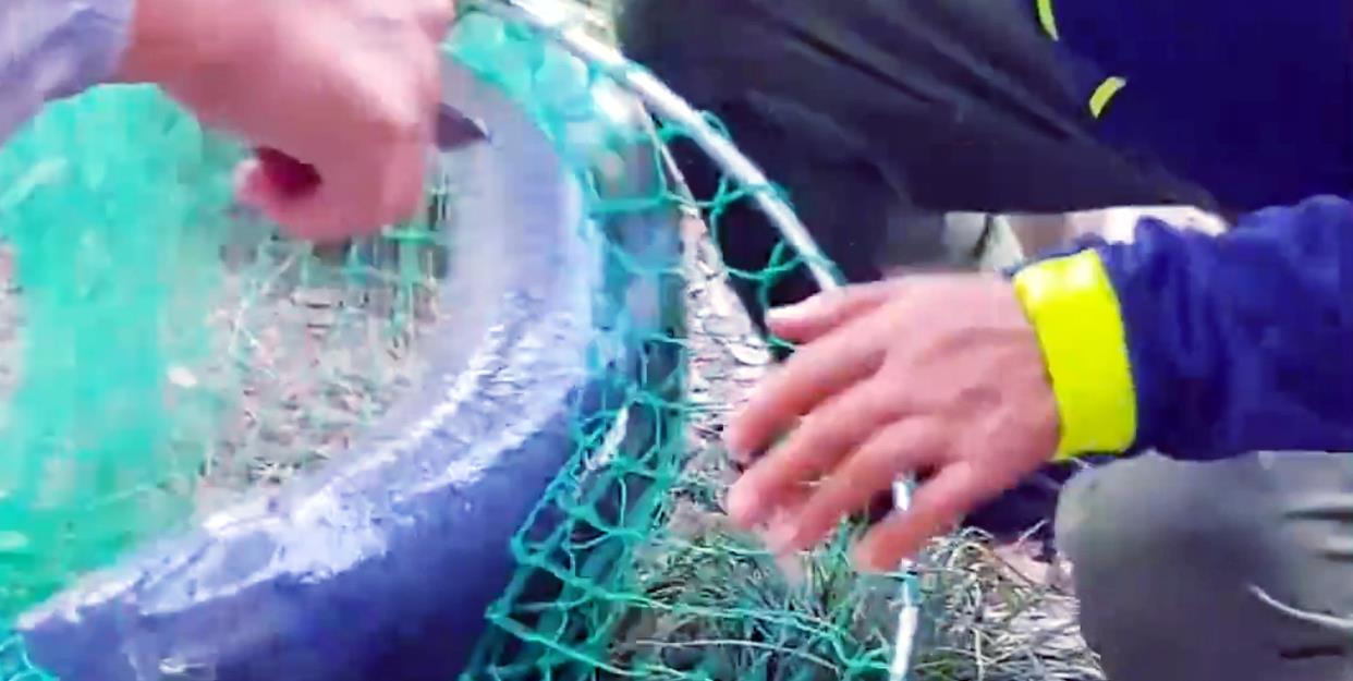 魔兽世界|大爷在西湖苏堤钓获大青鱼，三人抬着匆匆离去，网友猜测没钓鱼证