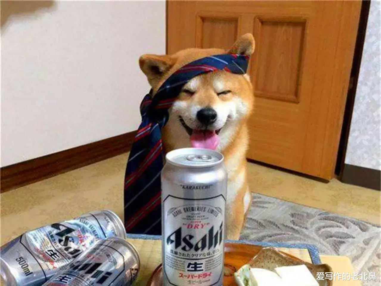 给动物喝白酒会怎样?