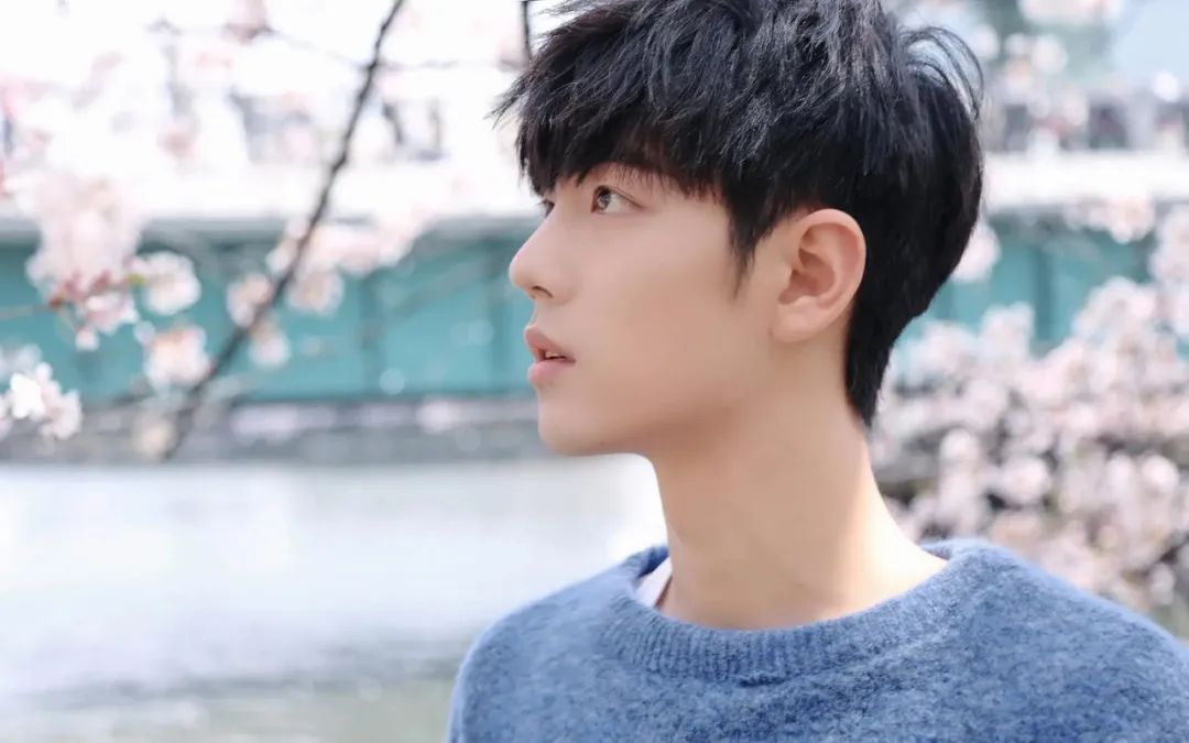 肖战|娱乐点评：肖战、杨紫、张新成、刘宇宁、金瀚、邓家佳