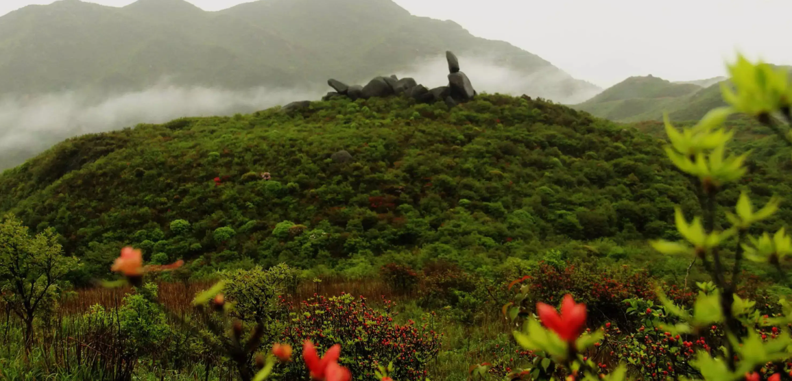 文昌|这些地方都让你惊叹，都是文昌的美景，来到这里可千万不要错过