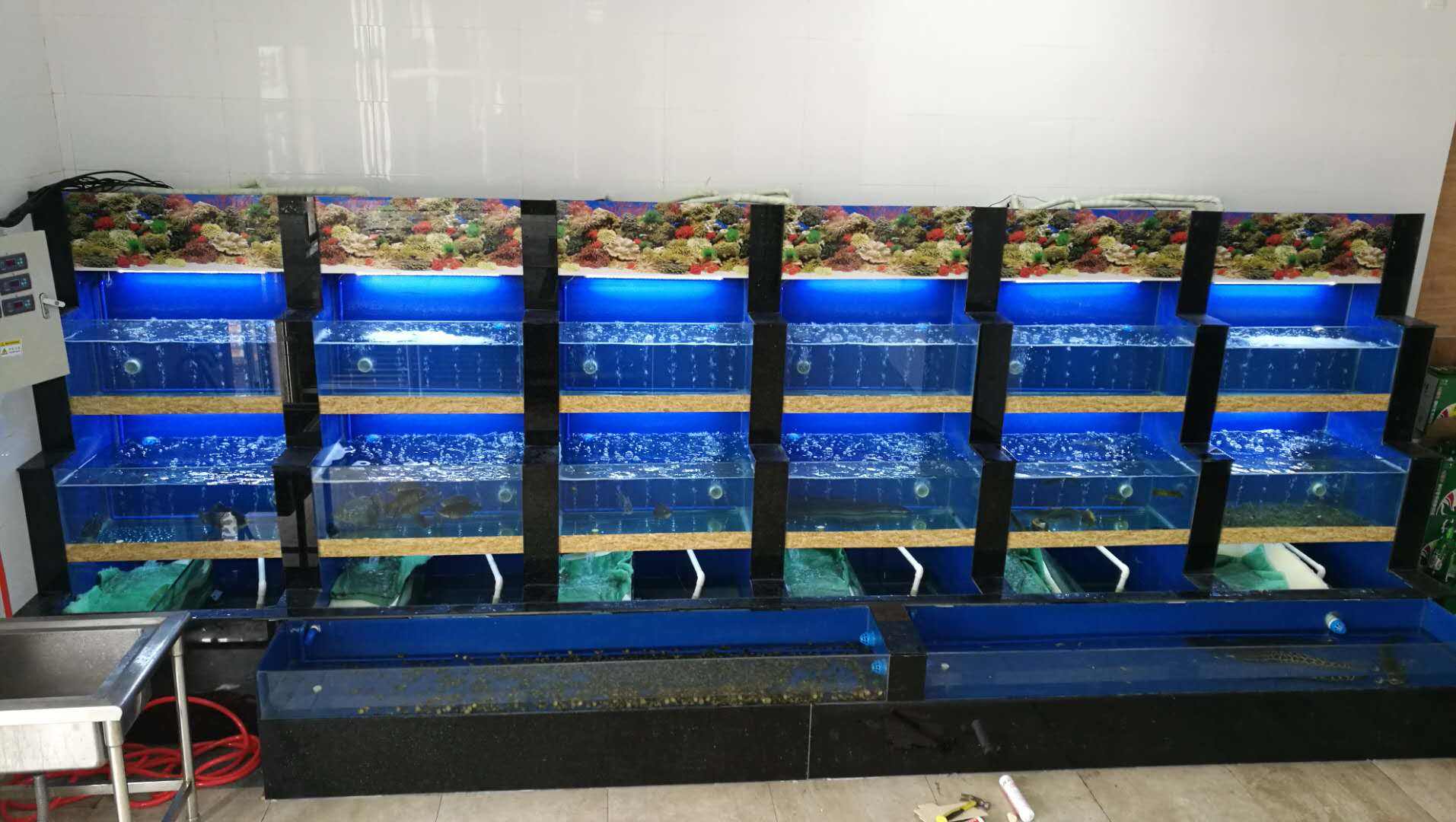 一次误判让我至今记忆犹新