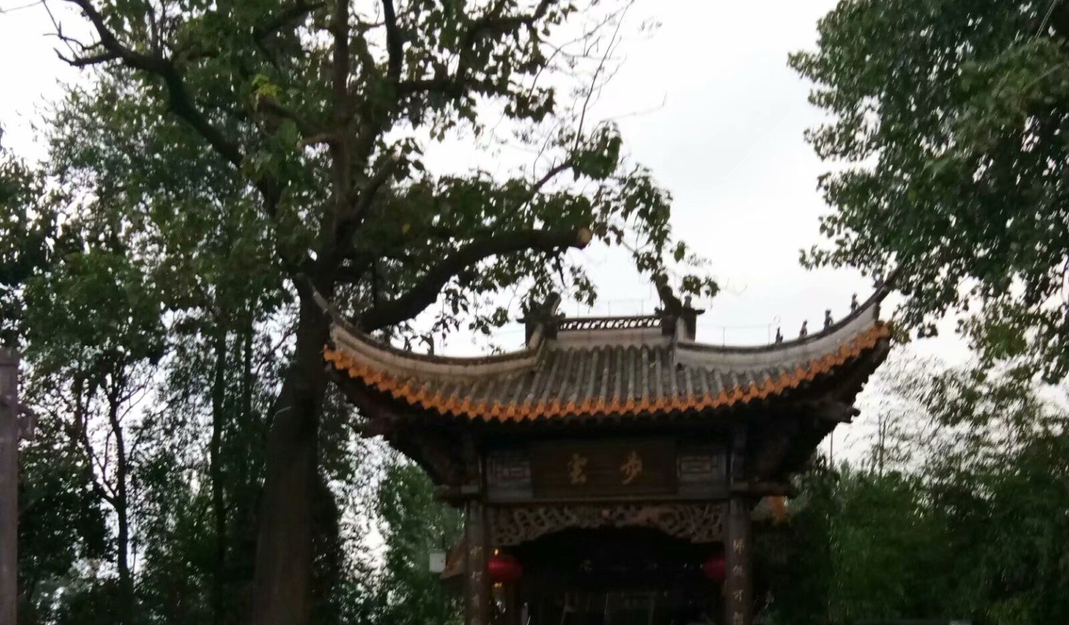 弱者总爱抱怨社会不公