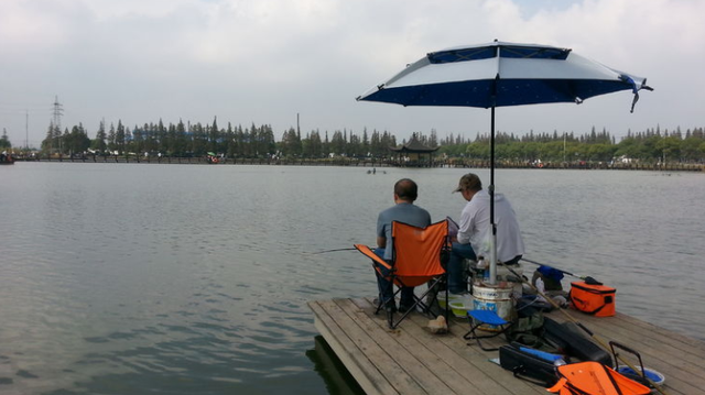 |野钓别只会用伊势尼,想多钓鱼,少不了几种鱼钩