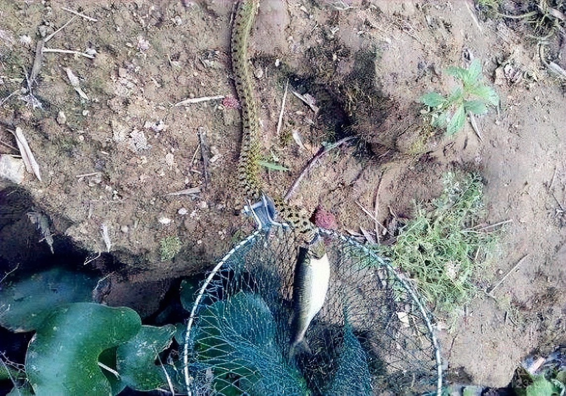 饵料|渔乐杂谈：夏季野外钓鱼安全篇02——六大规避危险的意识不可少！