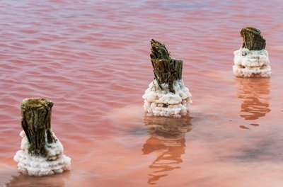 世界上最年轻的海洋: 红海,形成于2000万年前
