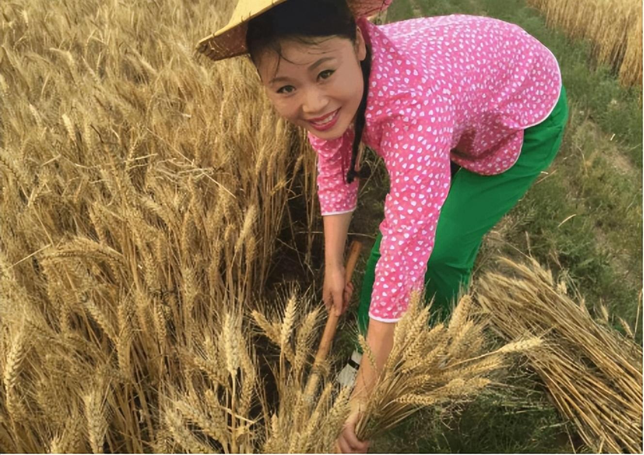 草帽姐|名利双收的“大衣哥”；昙花一现的“草帽姐”。