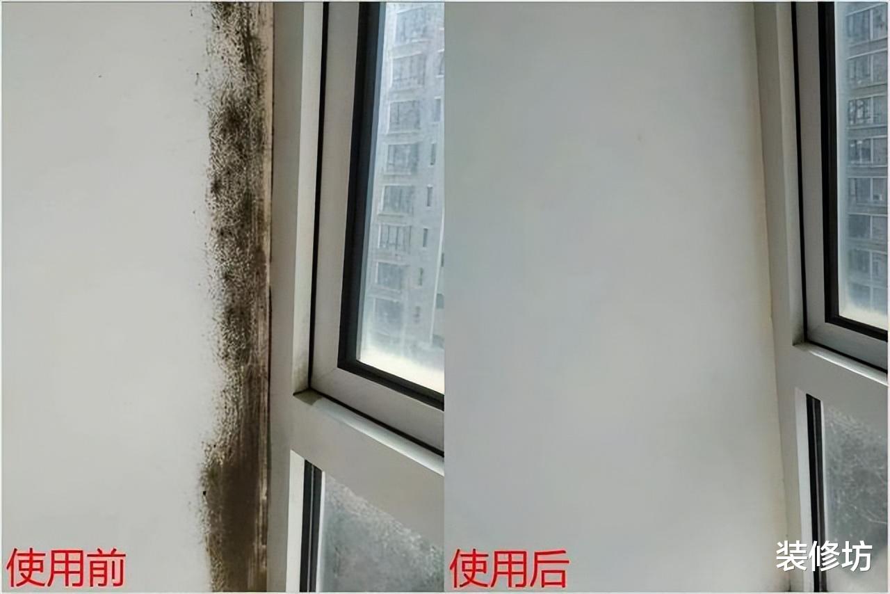 瓷砖缝“发黑发霉”难清理?试试这几招,霉菌一擦就干净了!